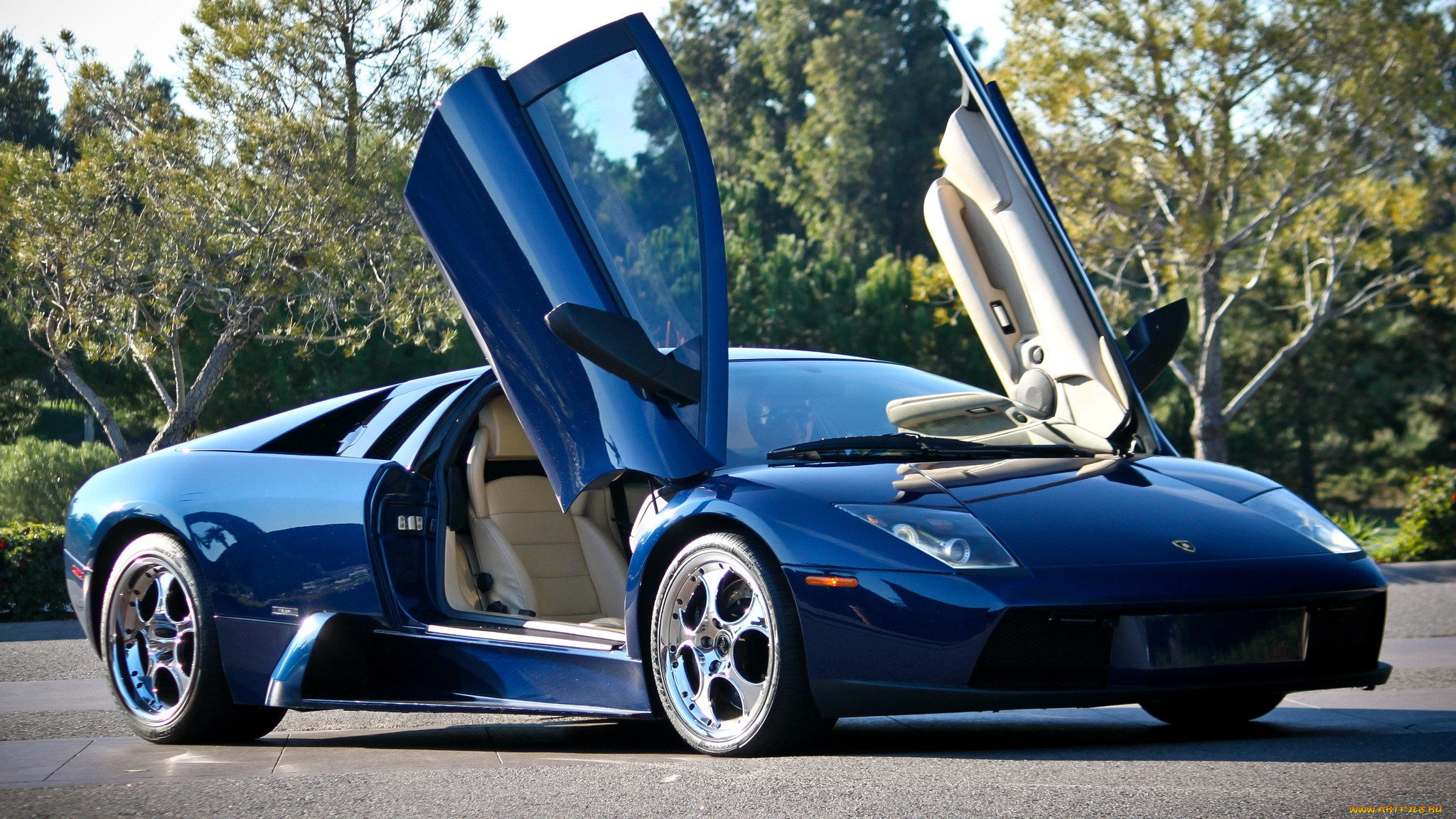 lamborghini, murcielago, , automobili, s, p, a, , 